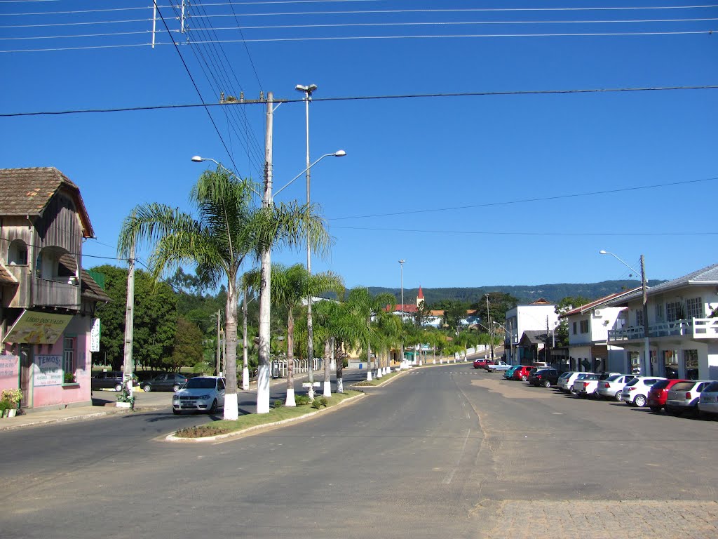 CENTRO DE DALBÉRGIA-IBIRAMA by Sidnei Recco