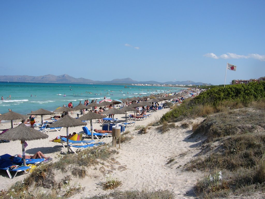 Playa de Muro - Mallorca by barober