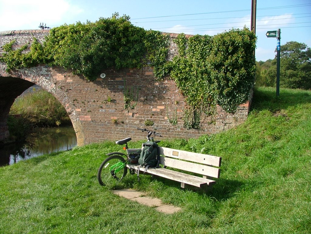 Kintbury Bridge 78 by SBower