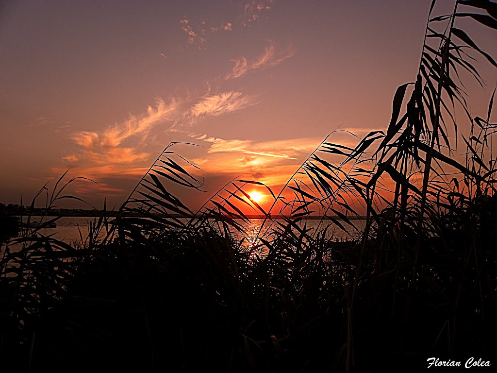 Mamaia by florian colea