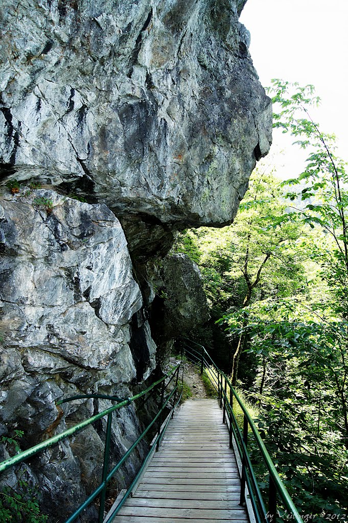 An den Felsen oberhalb des Wasserfalls by Veitinger