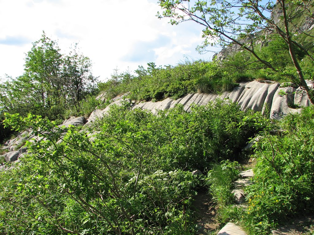 Dolina Małej Łąki ('Valley of the Small Meadow') by Inaz