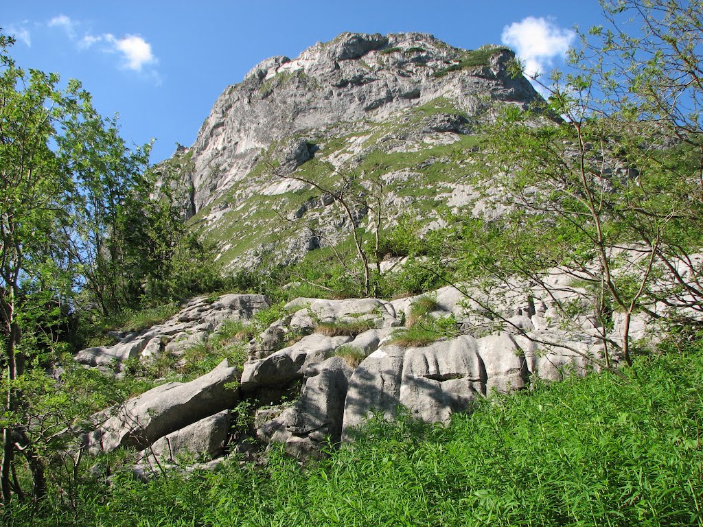 Dolina Małej Łąki ('Valley of the Small Meadow') by Inaz