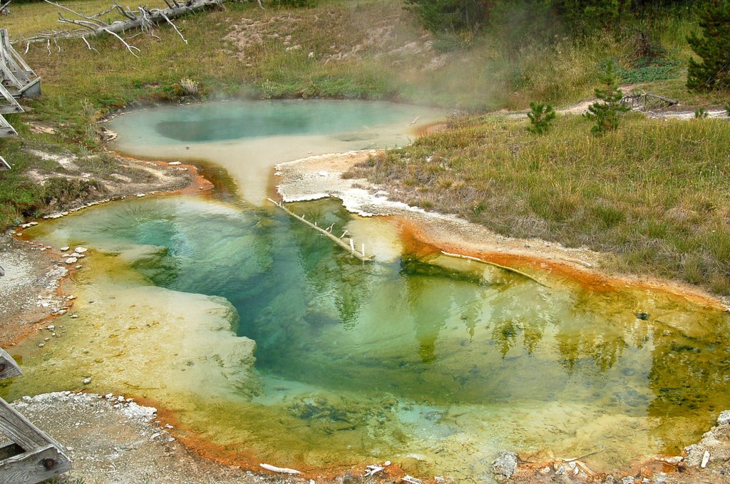 Seismograph & Bluebell Pools by Herve Quatrelivre