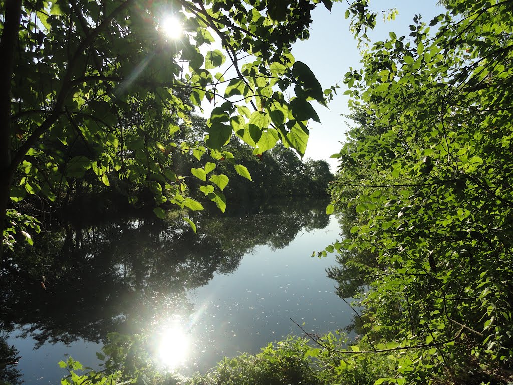 Deleware and Raritan Canal in South Bound Brook NJ, USA July 2012 by Gary Miotla