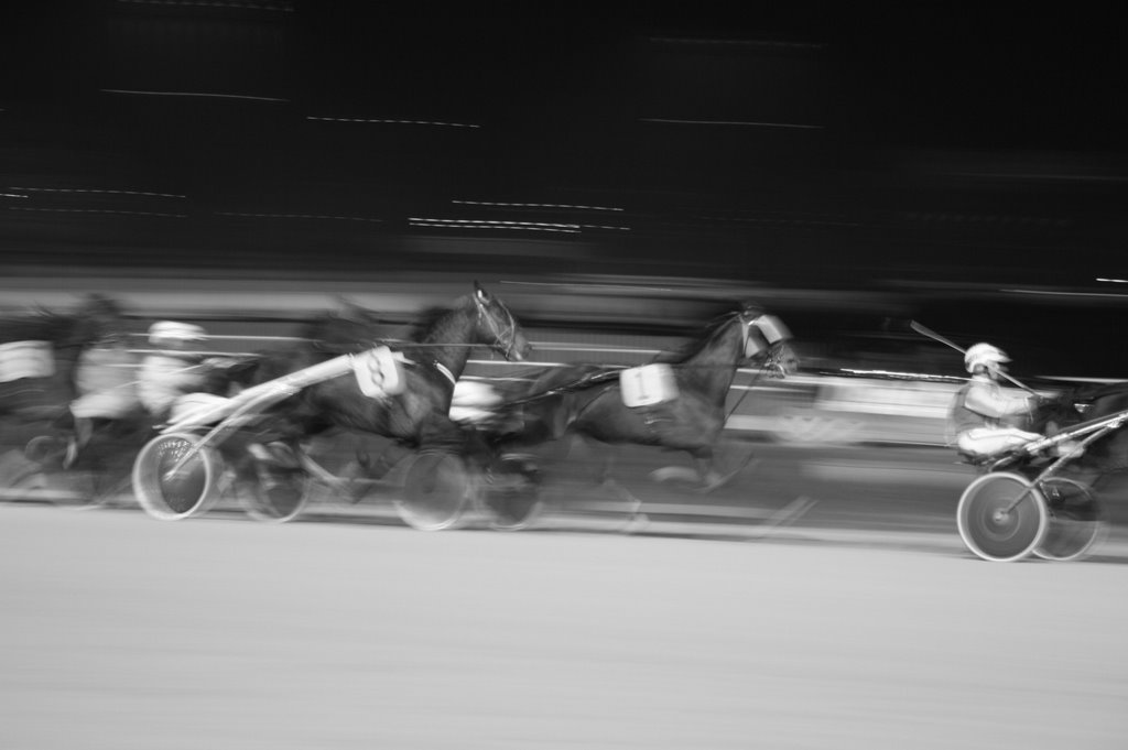 Horse Racing by Matthew T. Strachan