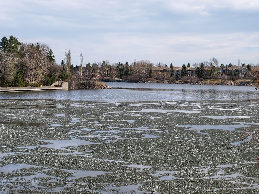 Spring Thaw @ Lac de Beaumaris by Nikbrovnik