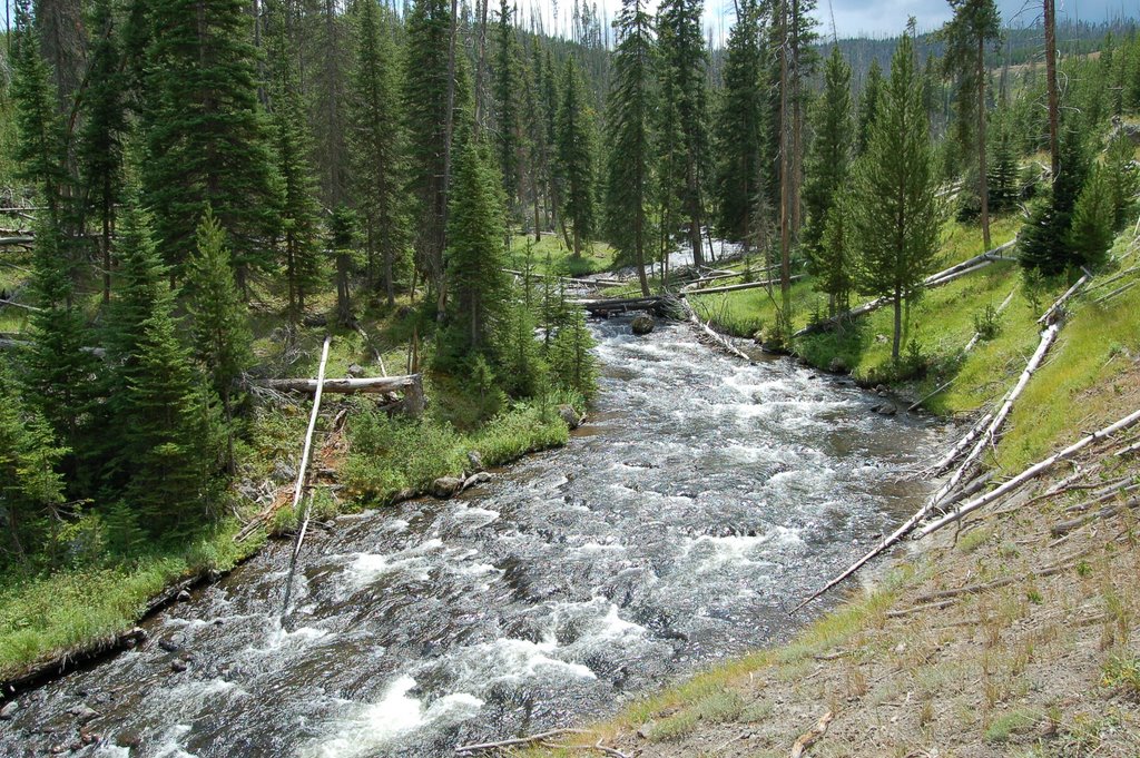 Little Firehole River by Herve Quatrelivre