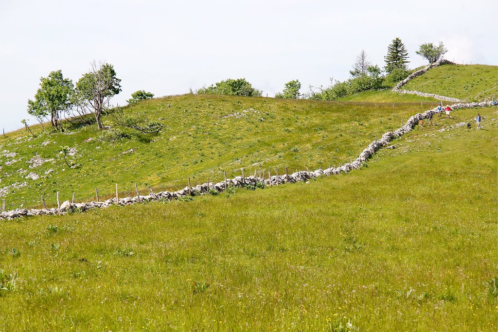 Juraweiden/Pastures In The Swiss Jura Mountains by loamvalley