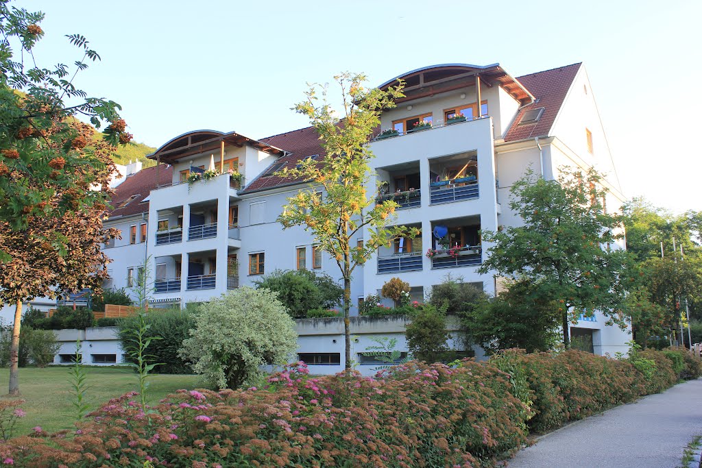 Krems-Rehberg - Mühlhofstraße by Josef Friewald