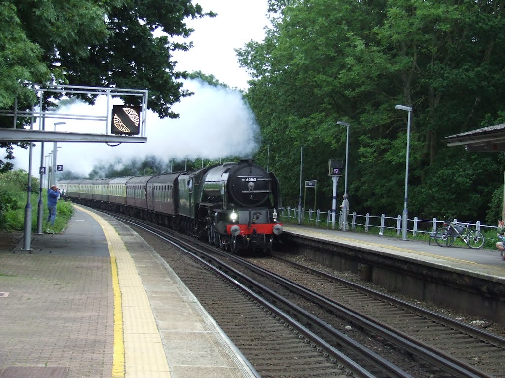 Sandling Train Station Kent Tornado steam train by paul knights