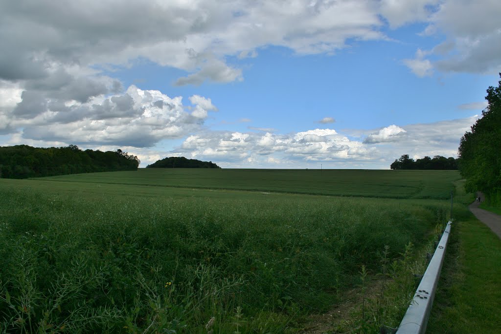 Thundridge Circular Walk by Lee A Holmes