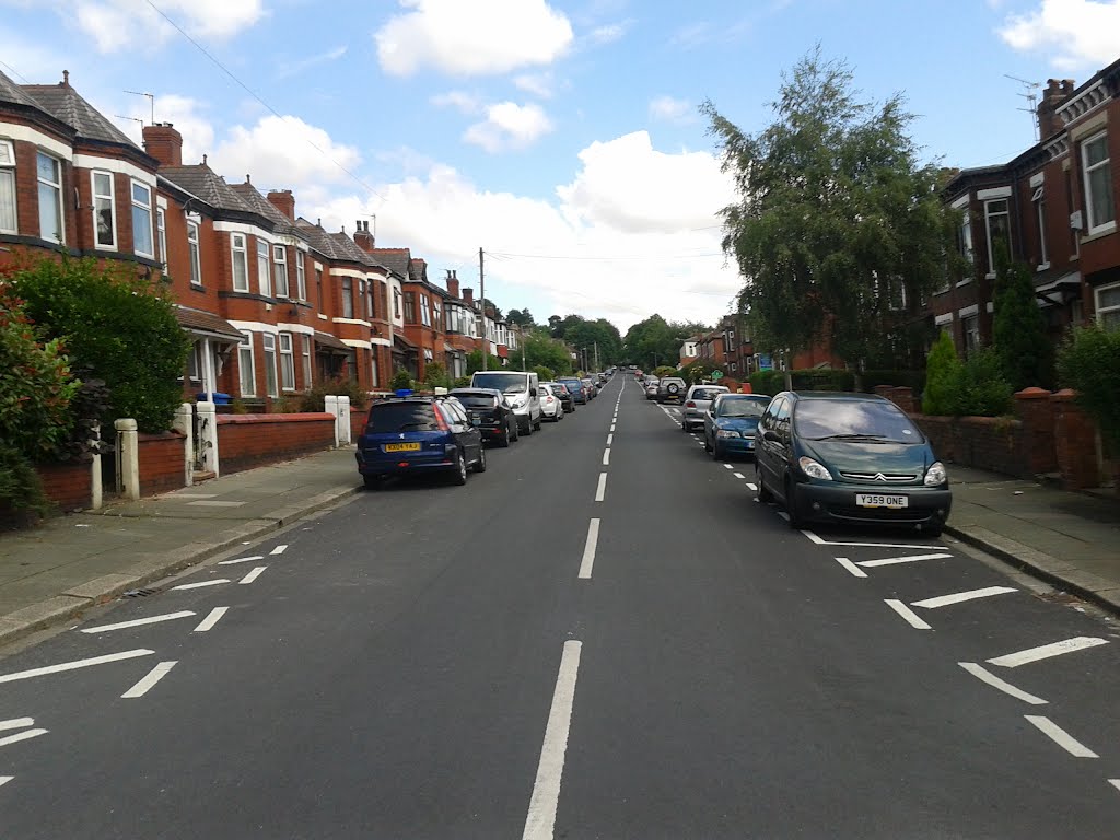 Cholmondeley Road by John D Cole