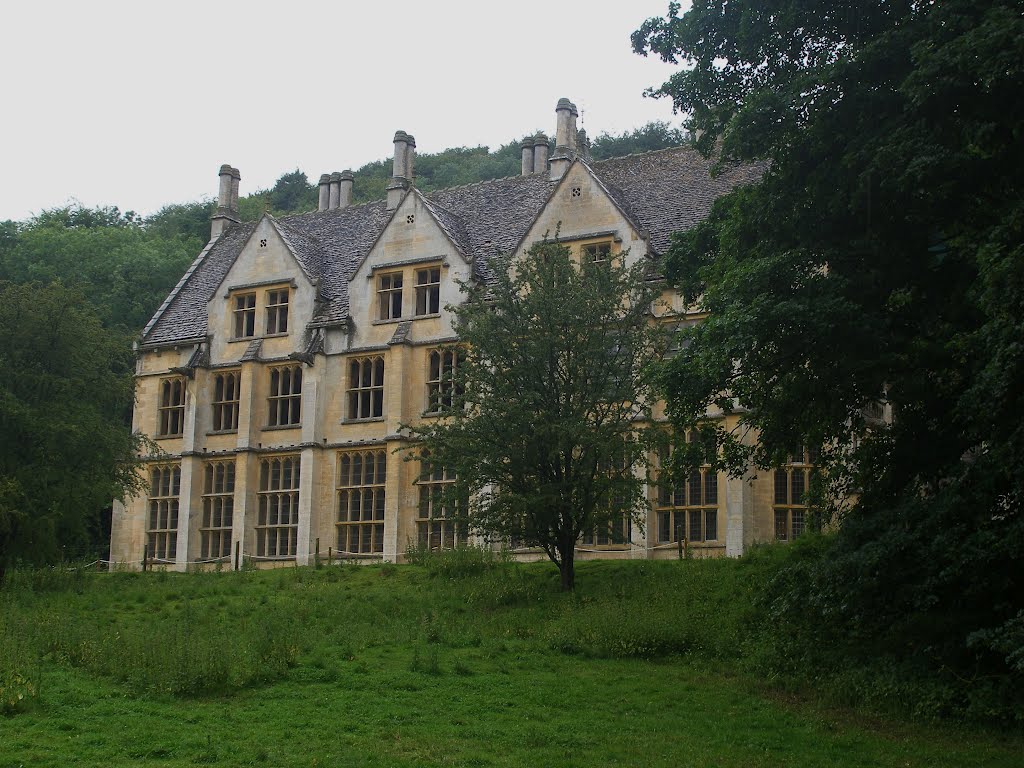 Woodchester mansion by wendyemlyn