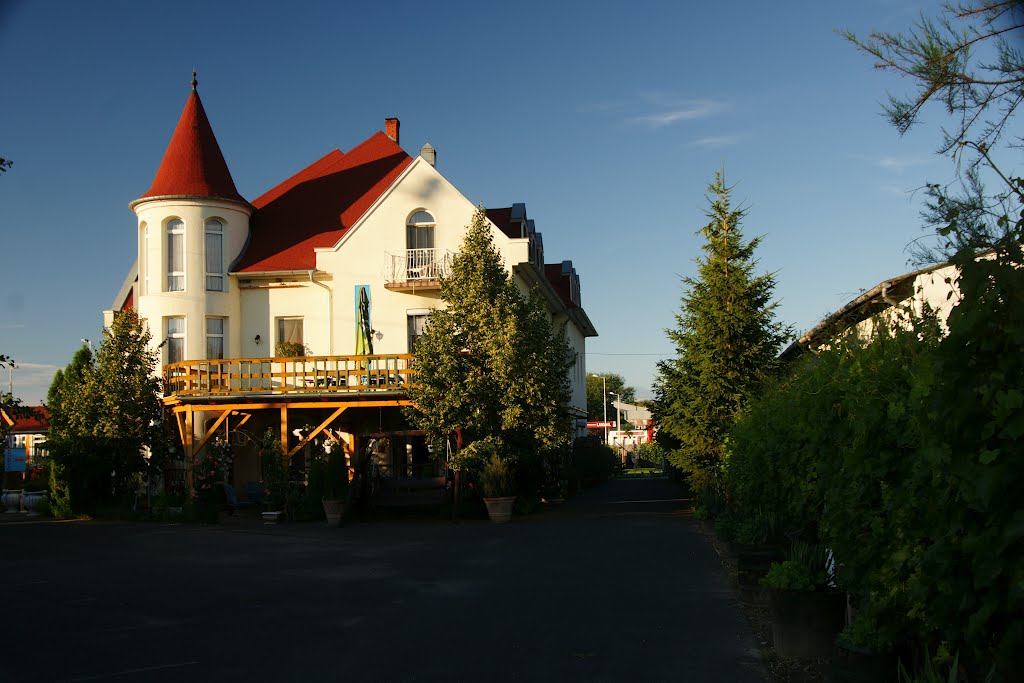 Szántód-Hotel "Laguna" by tadeusz dziedzina©