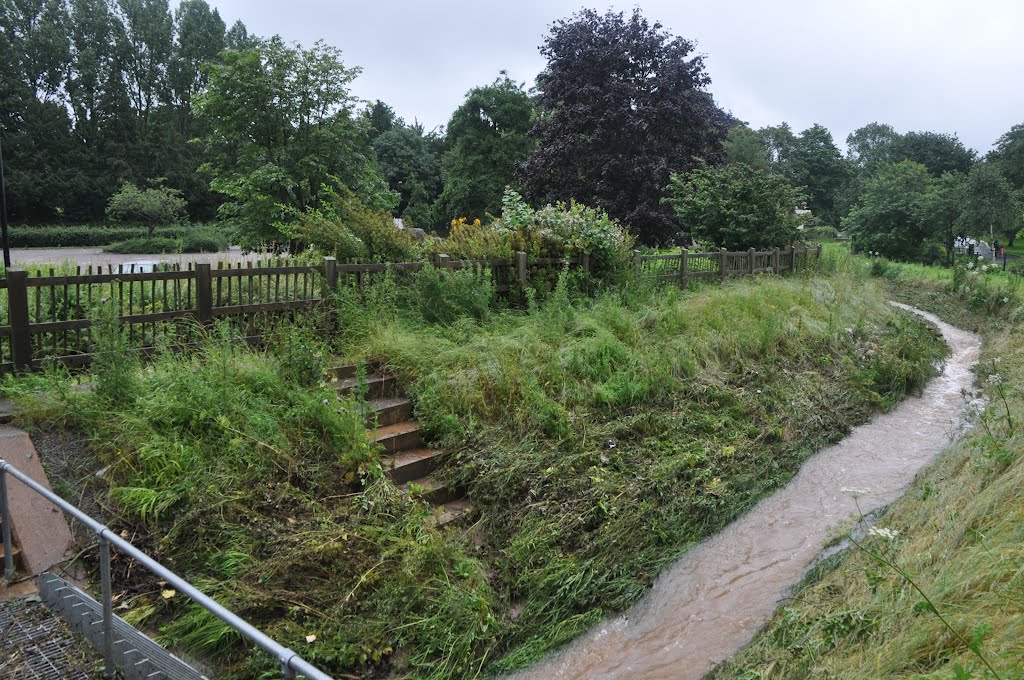 Ottery St Mary : Small Stream by A Photographer