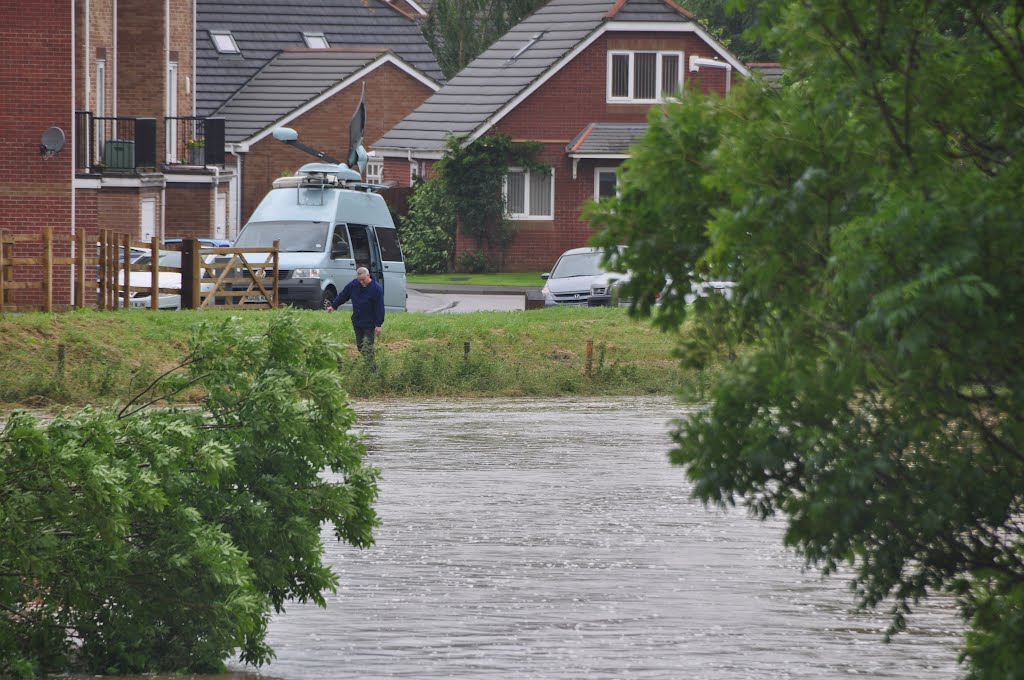 Ottery St Mary : The River Otter by A Photographer