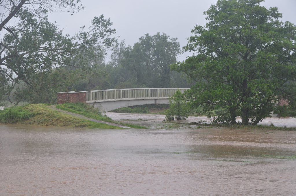 Ottery St Mary : Footbridge across the River Otter by A Photographer