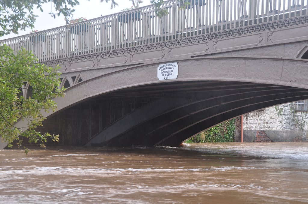 Ottery St Mary : St Saviours Bridge & River Otter by A Photographer