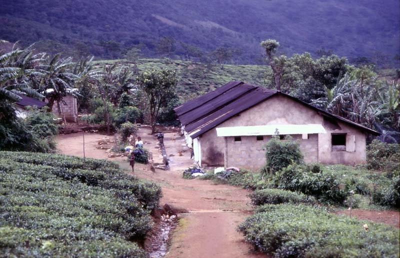 Kandy - Danida Project - Sri Lanka - 1987 by Ole Holbech