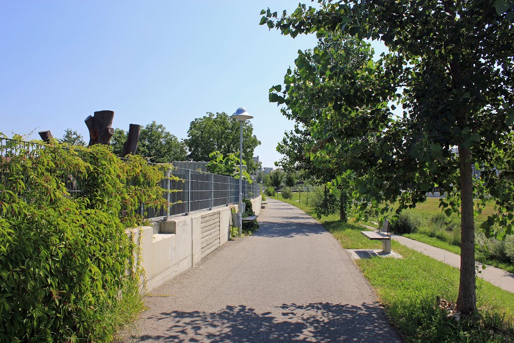 Krems - An der Krems by Josef Friewald