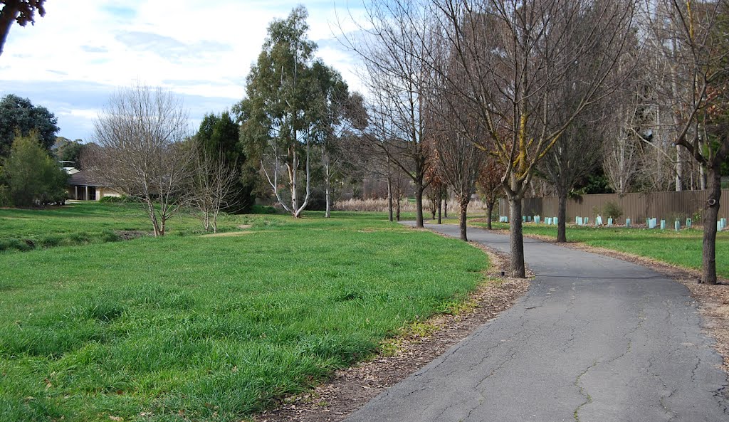 Walking trail through reserve by Phaedrus Fleurieu