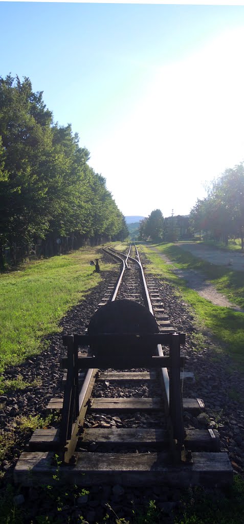 End of railway track (17.6.2012) by lorenzlubos