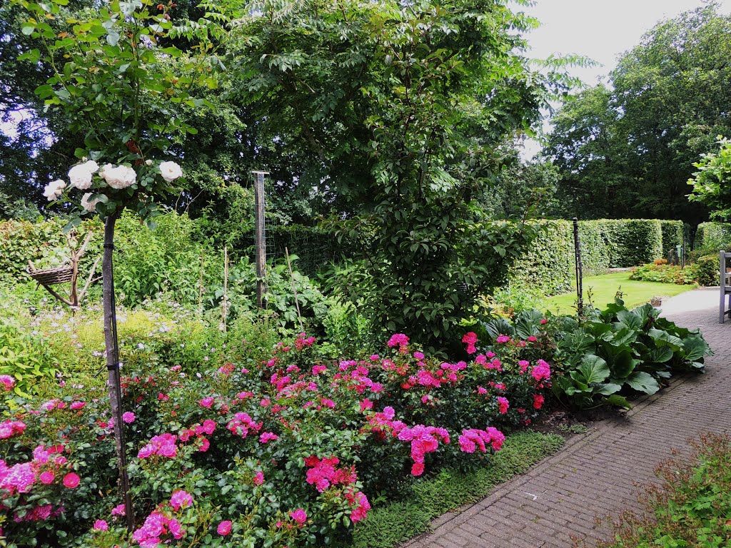 Oudemirdum. Mooie tuin met rozen. (BB) by Bayke de Vries