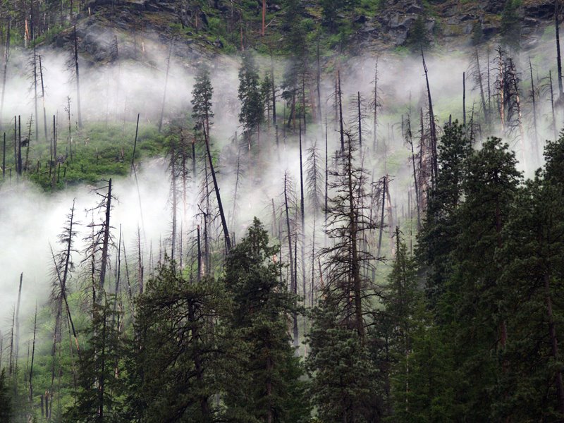 A spring afternoon in the Cascades by mike bryner