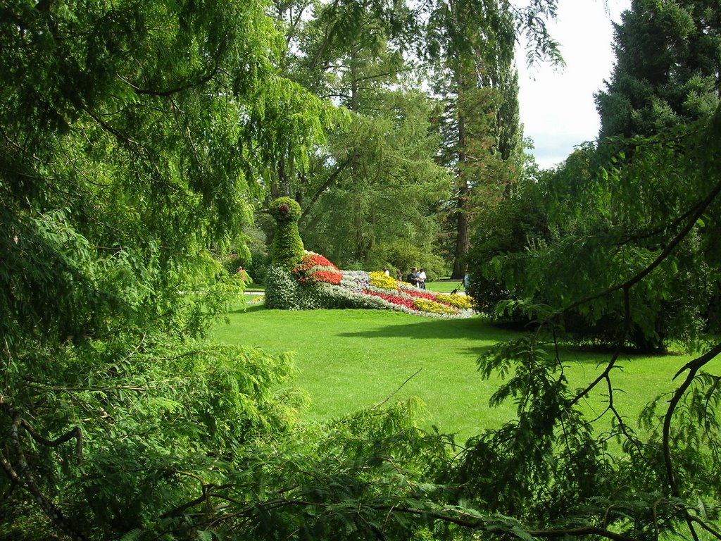 Mainau by Rafael Noe