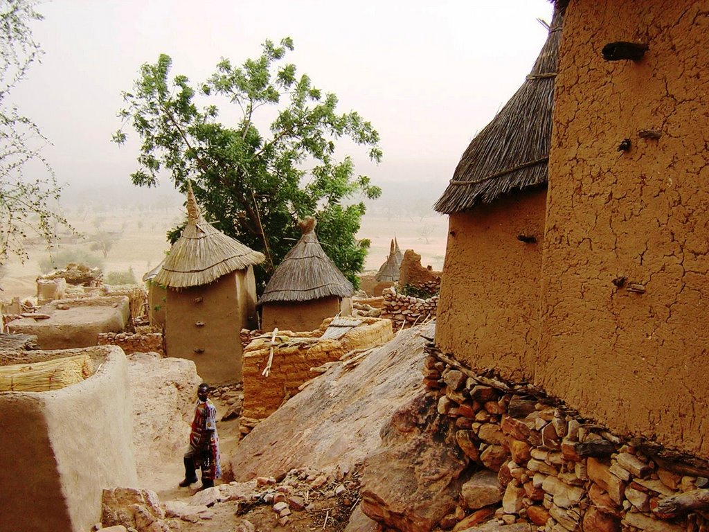 Falesia di bandiagara - Ireli by maresa maremagna