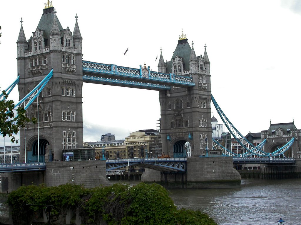 England - Tower Bridge by bluenose11