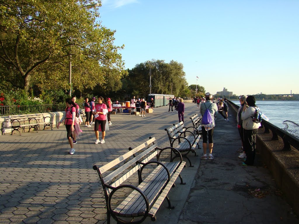 Pink Ribbon Race 2011, Carl Schurz Park, NY by PlamenB