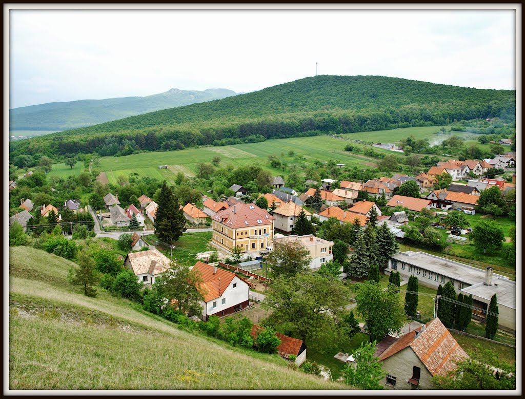 Pohľad na obec Radobica z Hôrky by < JOKO >