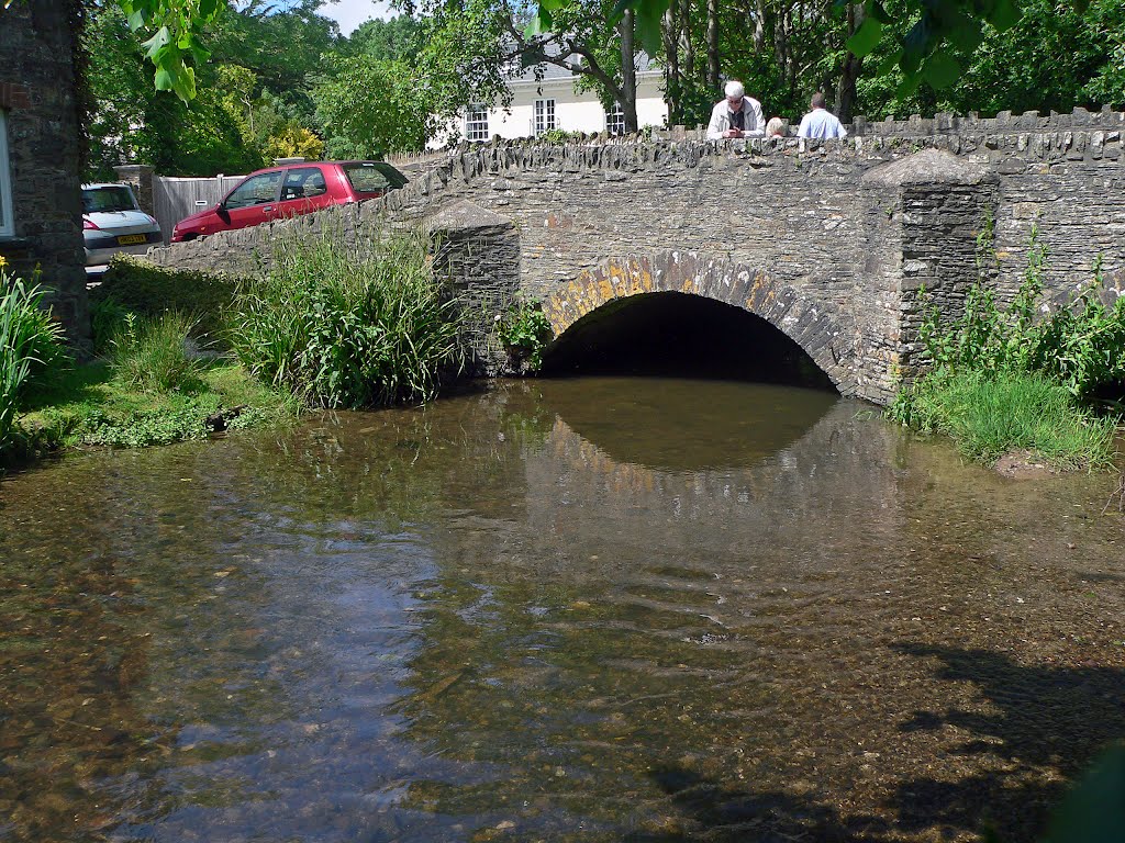 Caen stream in Braunton by redafour