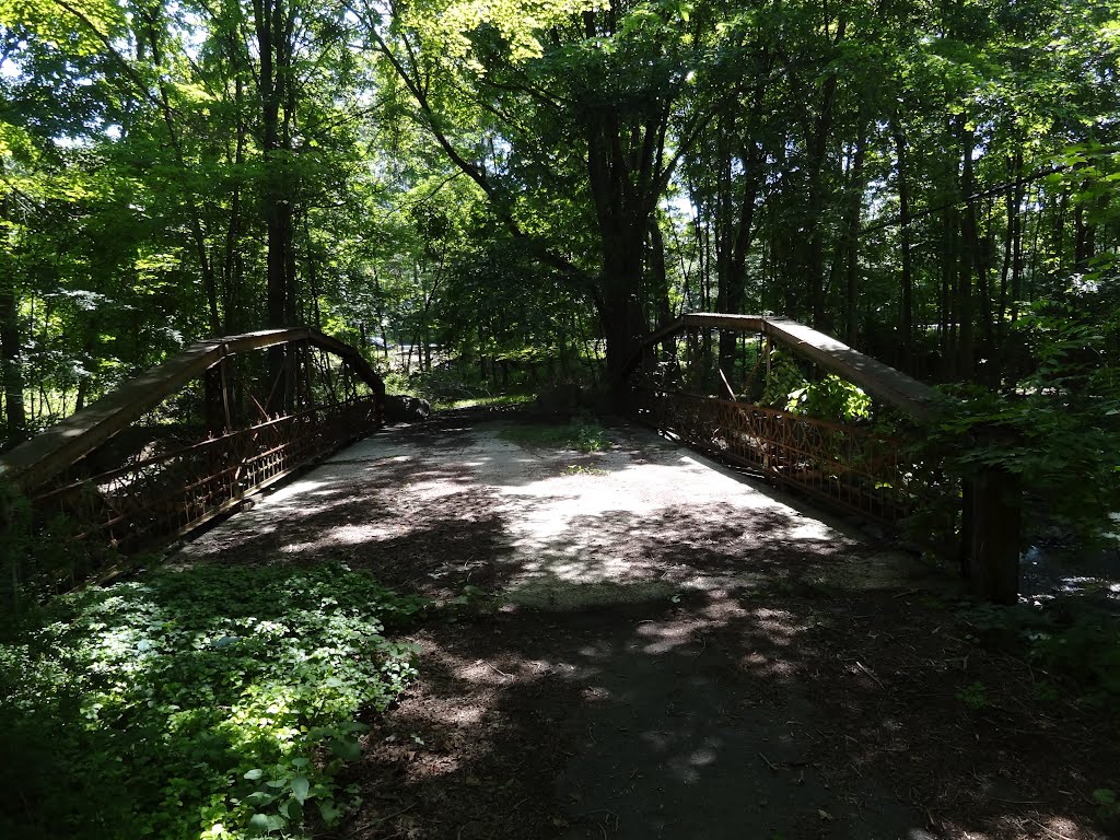 Abandoned Bridge by rogerking