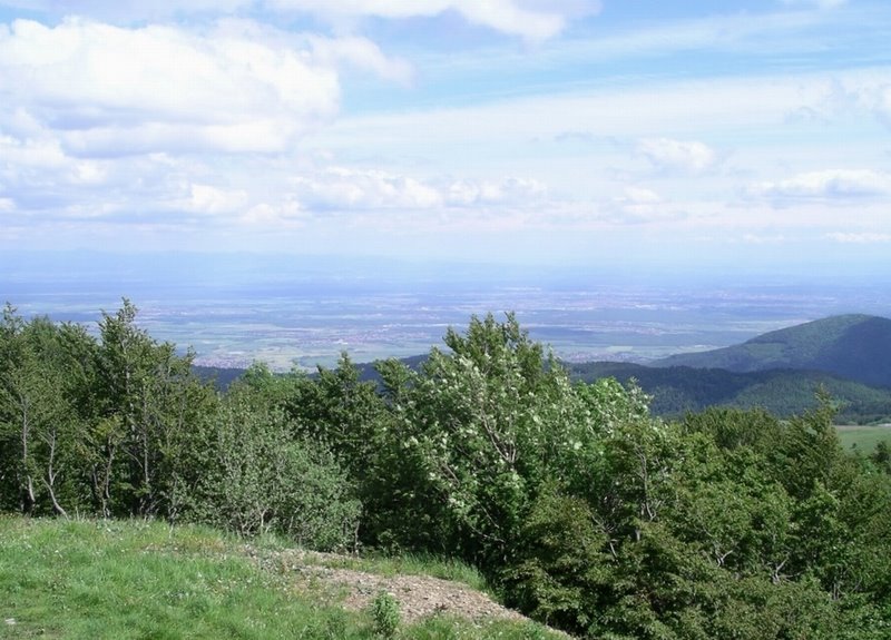 Blick vom Grand Ballon Richtung Oberrhein by H.Garnjost