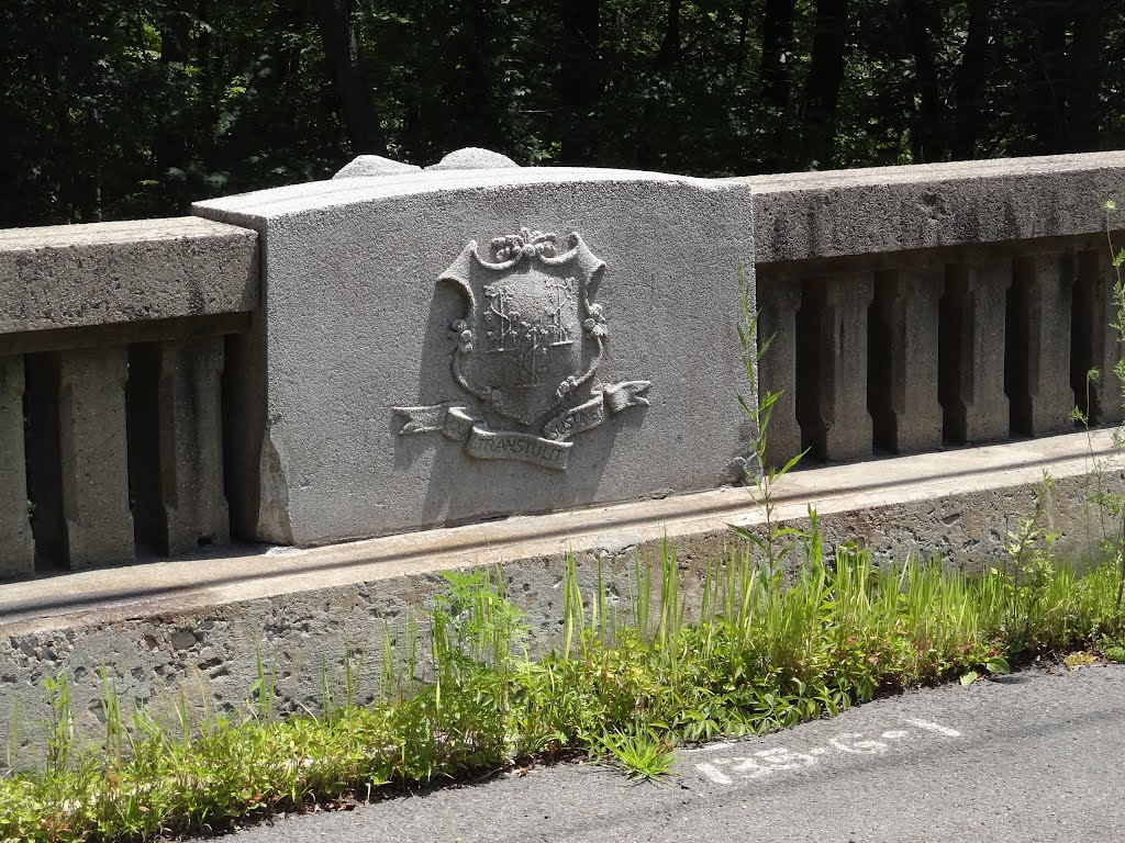 Wire Mill Road Bridge Details by rogerking