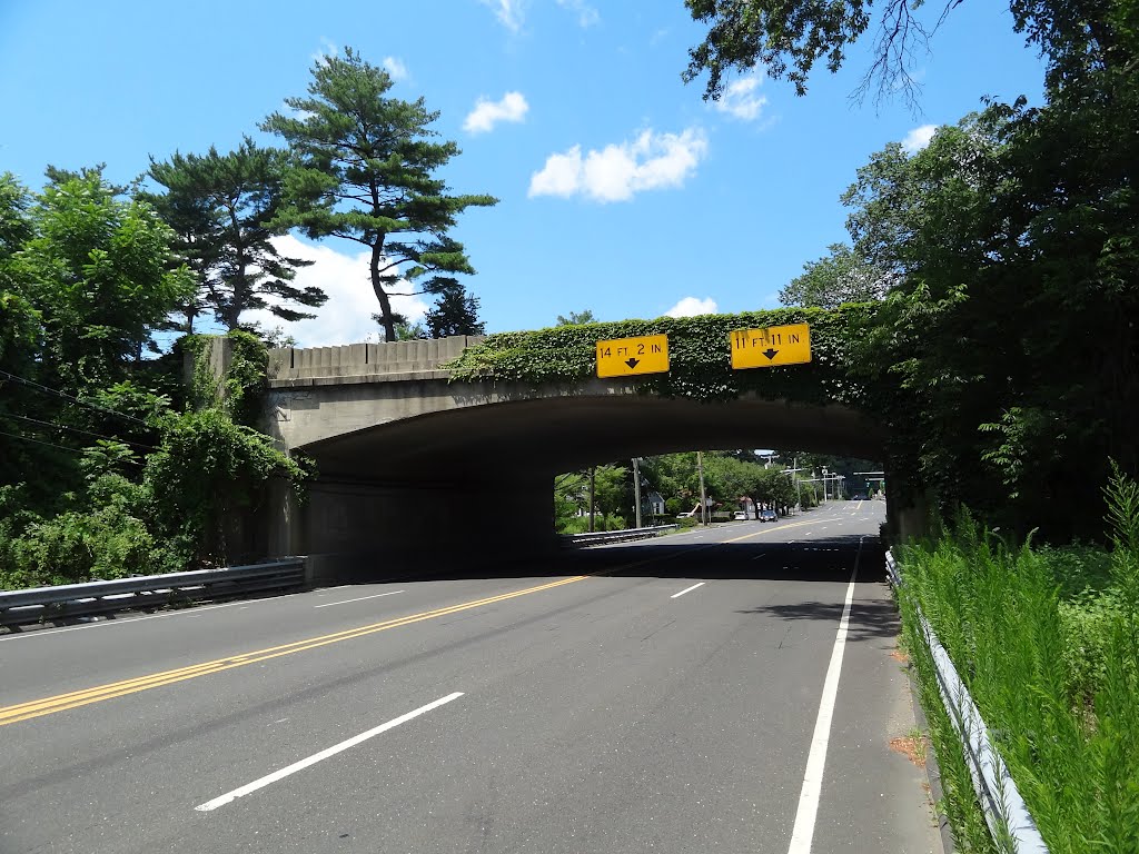 Long Ridge Road Overpass by rogerking