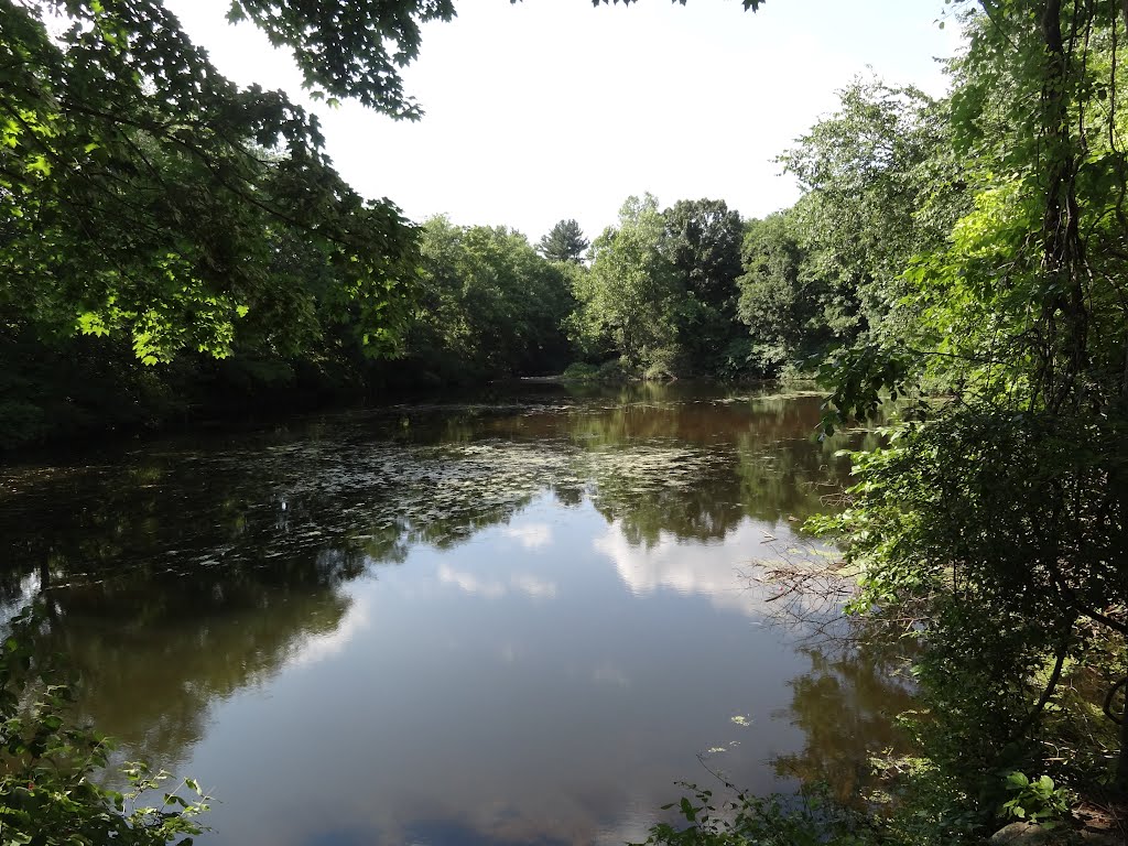 Toll Gate Pond by rogerking