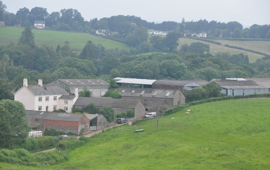 Taunton Deane : Peacehay Farm & Surroundings by A Photographer