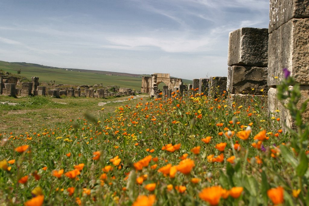 Volubilis, Ciudad Romana. by Valentin Enrique Fer…