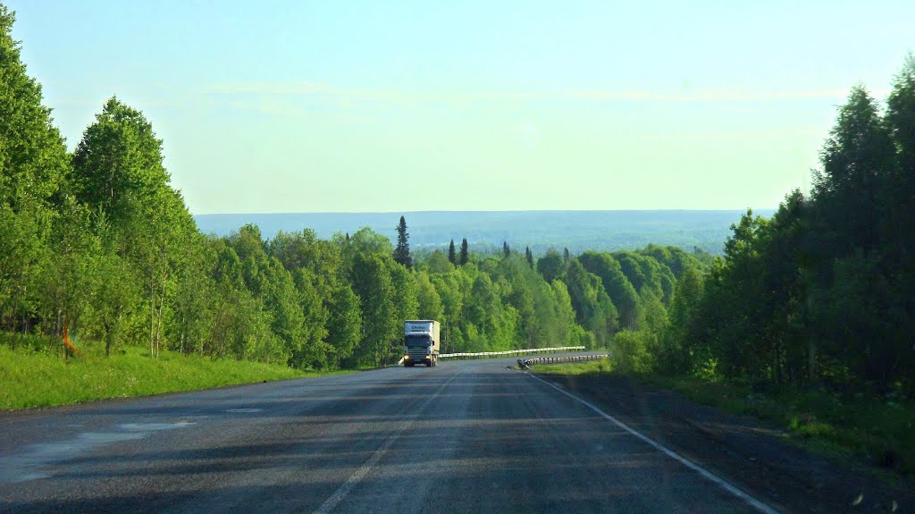 2012-06, Кемеровская область, автотрасса М53 "Байкал". Около д. Дмитриевка/ Kemerovo Oblast, highway M53 "Baikal". by Trapeznikov Pavel