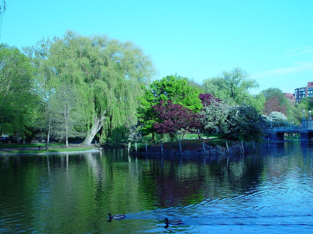 1st public garden in America within oldest public park in America, NHL (5-2005) by Ken Badgley