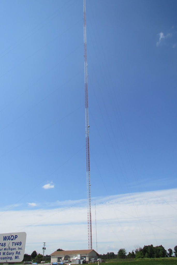 Too tall to picture the top (Gary Rd, Chesaning, MI) by UnagiUnagi