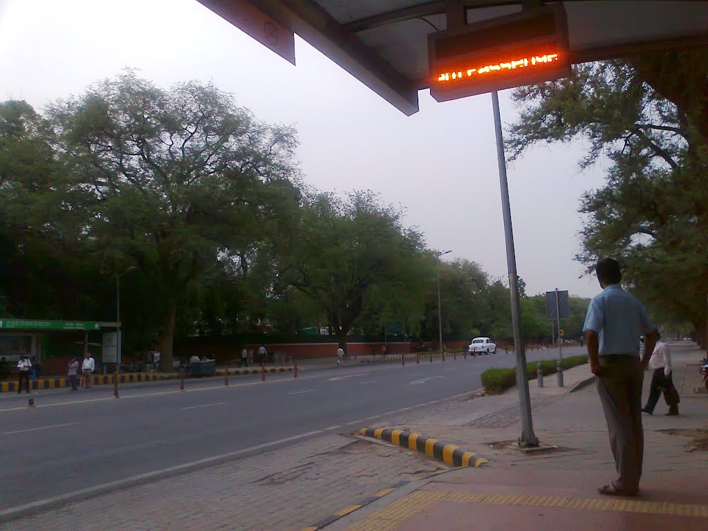 Tamarind trees lining the Road to Gol Dak Khanna, new Delhi by suchitaxaxa