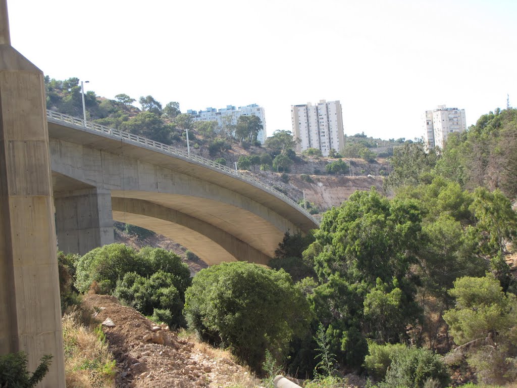 Haifa, a new road bridge the Grand Canyon compound falling downtown ,Israel by Kobi Zilberstein