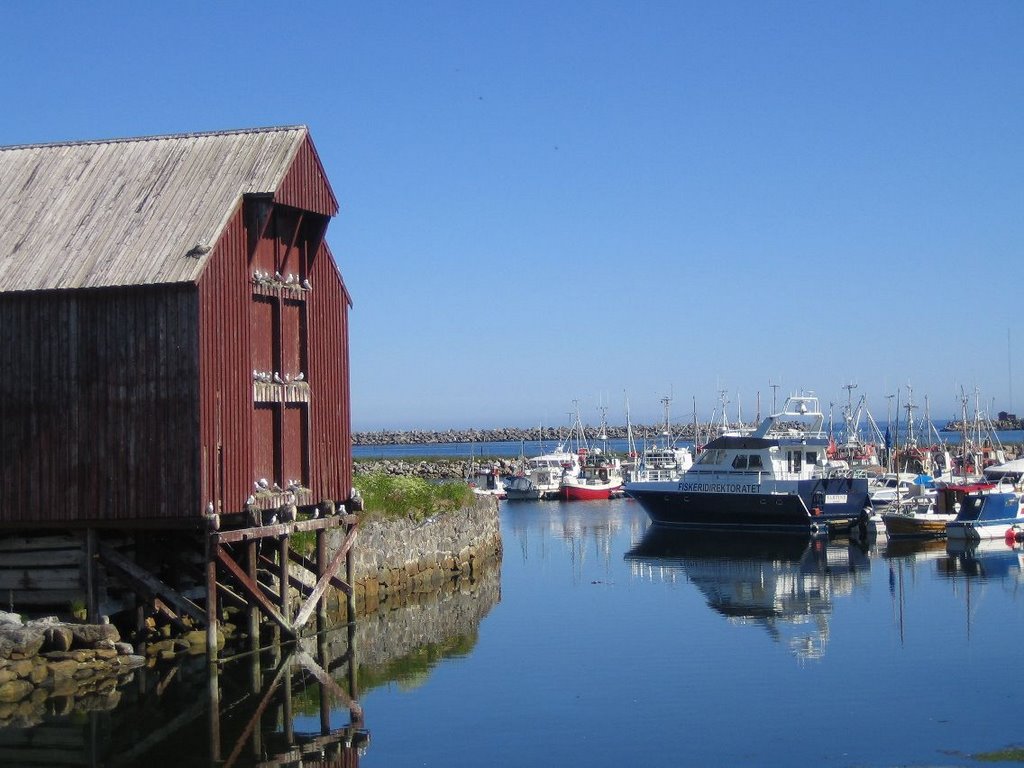 Andenes Hafen by pau.le