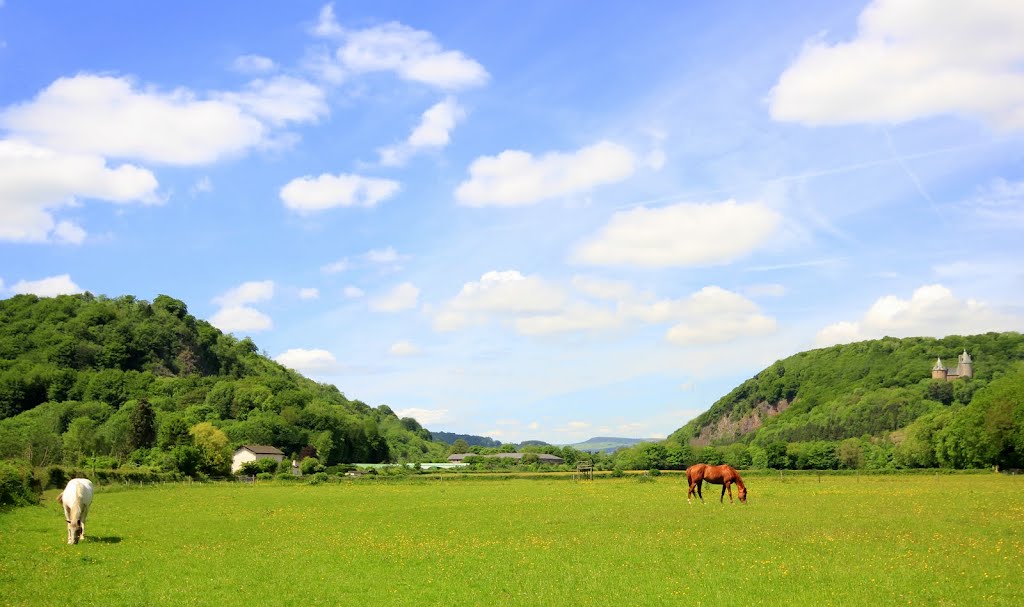 Taff Valley by Andrew Yearsley