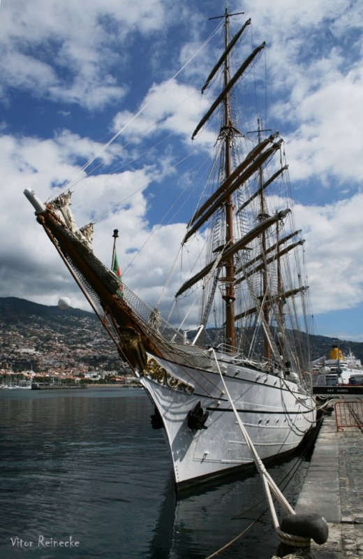 Funchal by Vitor Reinecke